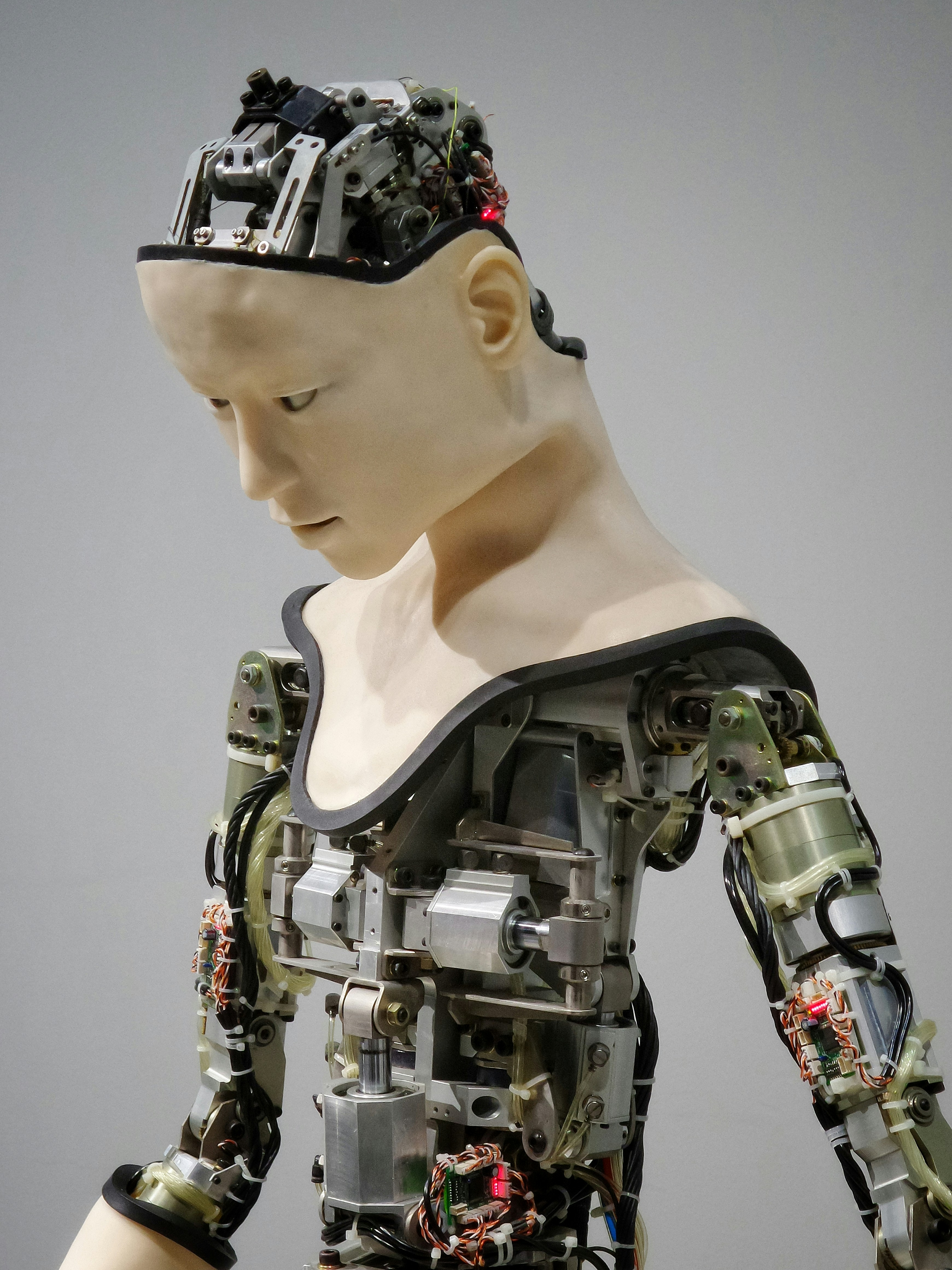 Robotic Process Automation (RPA)